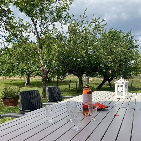 Le Du Vigneron Perigord *