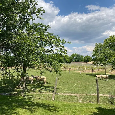 Le Du Vigneron Perigord בית נופש