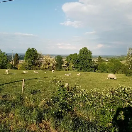 Le Du Vigneron Perigord *