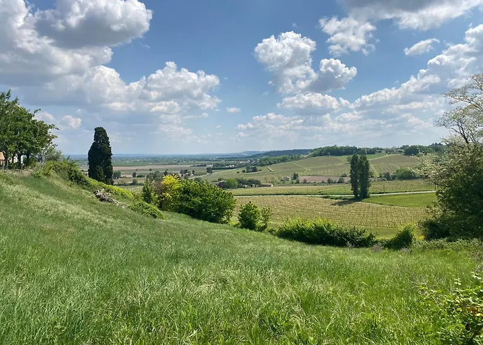 Le Du Vigneron Perigord Semesterbostad Razac-de-Saussignac