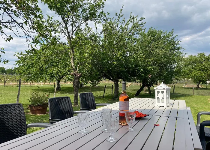 Le Du Vigneron Perigord *