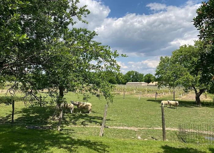 Le Du Vigneron Perigord Semesterbostad